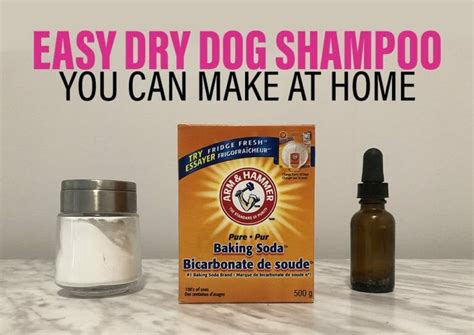 Got A Stinky Dog? This DIY Dry Dog Shampoo Can Help - the DIY Pet