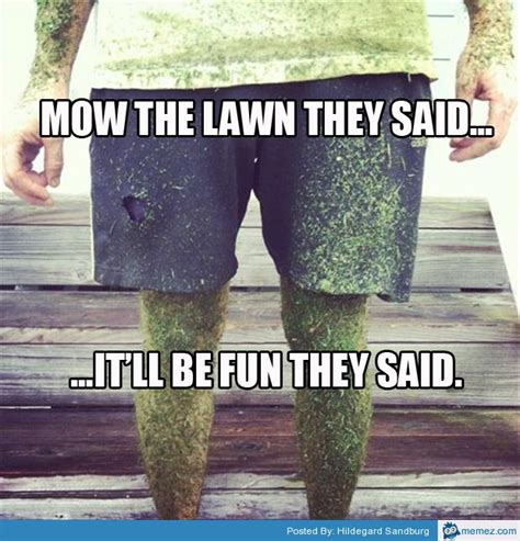 Mow The Lawn They Said