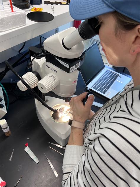 Origins of Renal Physiology for Medical Students: TREKS 2025 – MDI