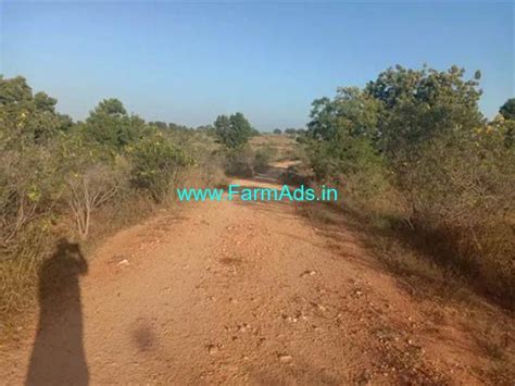 5 Acre Farm Land For Sale Near Tirupathi Tirupati Chitoor