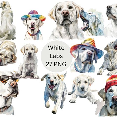 White Lab Etsy