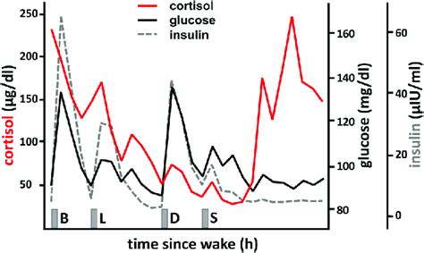 Diurnal Profiles Of Plasma Cortisol Glucose And Insulin Levels In Ten