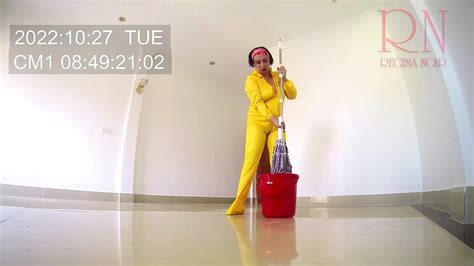 Naked Maid Cleans Office Space Maid Without Panties Hall Nipples Porn Feat Regina Noir