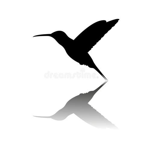 Flying Hummingbird Silhouette Stock Vector Illustration Of Isolated
