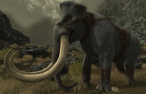 Great Frost Tusk Lotro Wiki