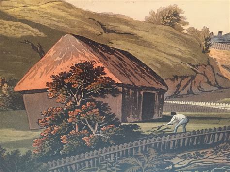Wattle And Daub