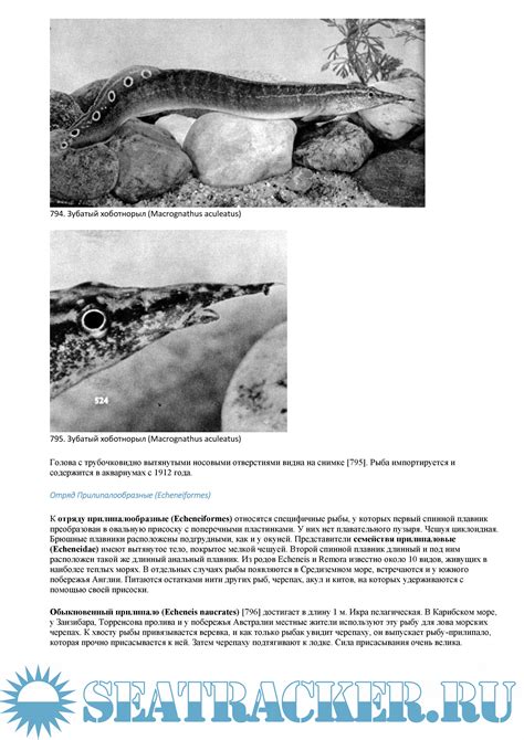 Иллюстрированная энциклопедия рыб - Ст. Франк [1983, PDF] › Marine Tracker
