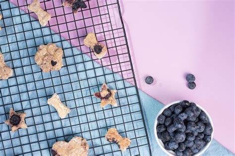 Baked Homemade Blueberry Oat And Peanut Butter Dog Biscuit Treats