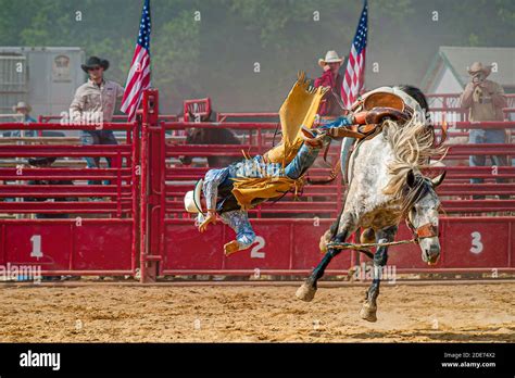 Bronc Rider Hi Res Stock Photography And Images Alamy