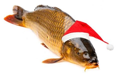 ポーランドのクリスマスは「コイの季節」だった！聖夜の各国料理を紹介、肉より魚を食べる国の背景とは？サブカル系芸能デイリースポーツ Online