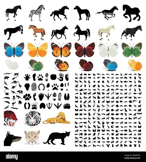 Collection Of Animals Stock Vector Image And Art Alamy