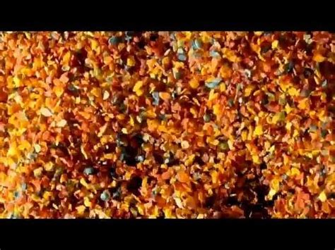 Watch Gluttony Ussbbw Interview Bbw Porn SpankBang