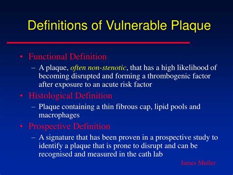 PPT - Vulnerable Plaque PowerPoint Presentation, free download - ID:724253