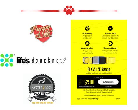 Reserved | Ember | Gold & White Female Border Collie Puppy | Congratulations & Thank You to