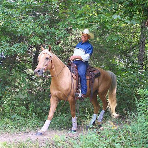 History Of The Missouri Fox Trotter Emftha Ev