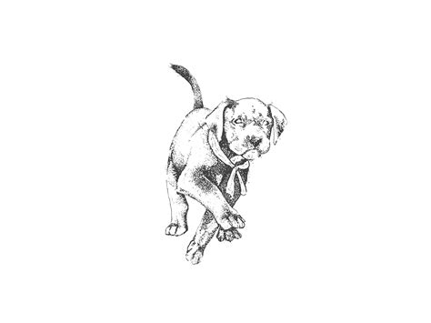 Nankin Illustrations Iii On Behance