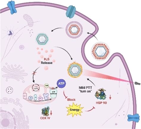 Hydrogen Sulfide Used In Cancer Treatment Mirage News