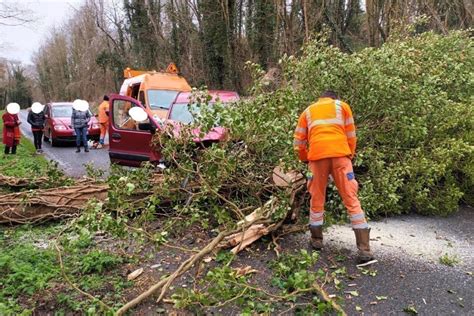 Seine Et Marne Un Grand Arbre Tombe Sur Une Voiture Et Coupe Une Route