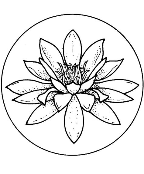 Coloriage Beau Nénuphar 4 Dessin gratuit à imprimer