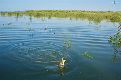 Водоемы Краснодарского Края Фото – Telegraph