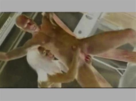 Cenmusijoy 447 Free Porn Video B5 XHamster