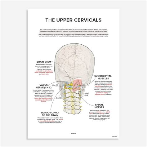 upper cervical poster  kirografiks