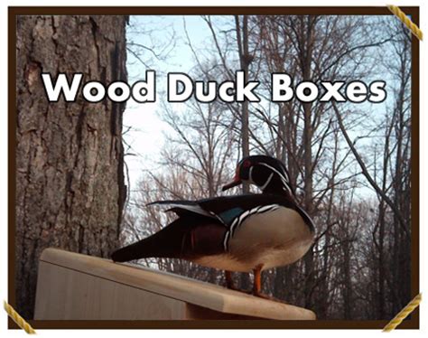 Wood Duck Boxes & More! Wood Duck Nesting Boxes For Sale