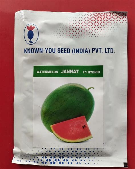 Hybrid F 1 Jannat Watermelon Seeds For Agriculture Packaging Size 50