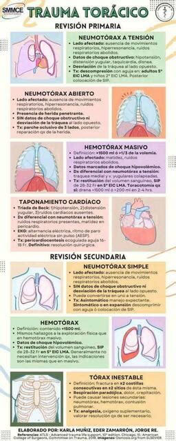 Trauma Toracico Yudocorg Udocz