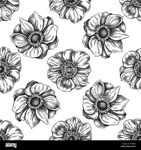 Anemones Japanese Black And White Stock Photos And Images Alamy