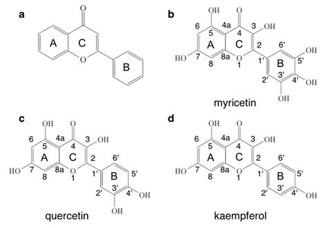 Chemistry Free Full Text Conformational Preference Of Flavonols And