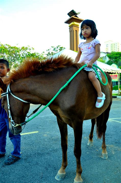 naziras cottage telling story naik kuda