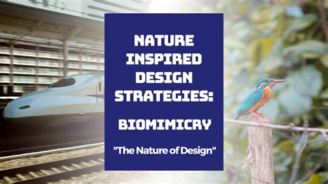 Nature Inspired Design Strategies: Biomimicry - OkButWhy