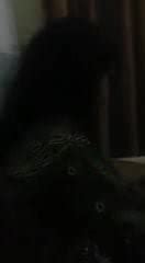 Haramzaadi Kutti Free Pakistani Porn Video Xhamster Xhamster