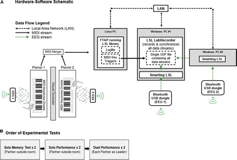 frontiers behavioral  neural dynamics  interpersonal synchrony