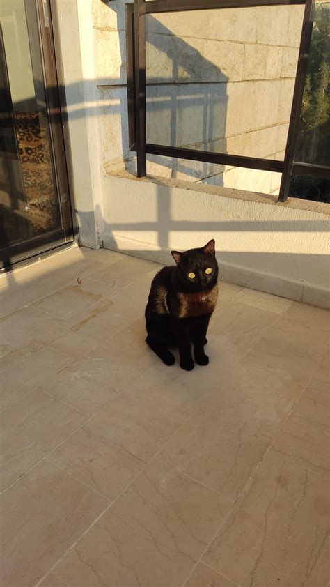 Zoro my best friend my companion my heart breaks with your death i will