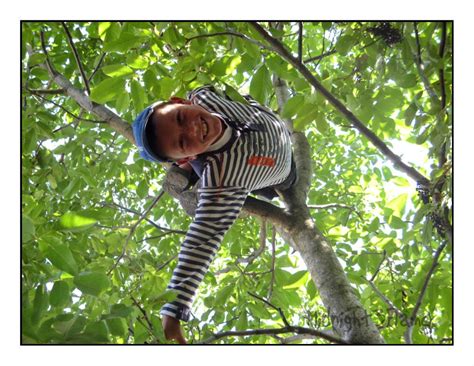 monkey boy  midnightflame  deviantart