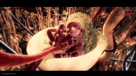 Мультимедийные технологии для обучения. Дидактические системы. - YouTube