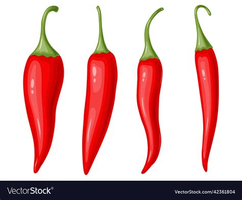 Red Hot Chili Pepper Set Mexican Traditional Food Vector Image