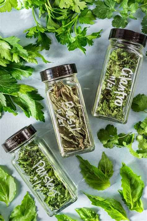 How to Dry Herbs - Fresh Off The Grid