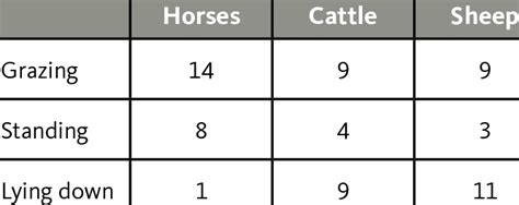 Time Of Horses Cattle And Sheep
