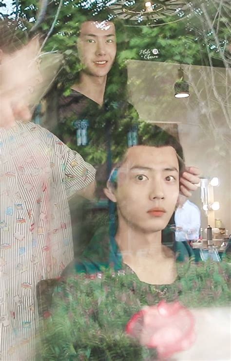 Bojunyixiao Untamed Quotes Anime Butterfly Cute Gay