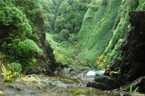 Treks and travels: Waterfalls of Agumbe