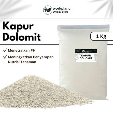 Jual Kapur Dolomit Pupuk Dolomit Untuk Tanaman Hias Dolomit Reptil