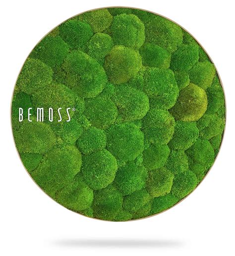Moss Art Bemoss® Ortho Natural Bemoss