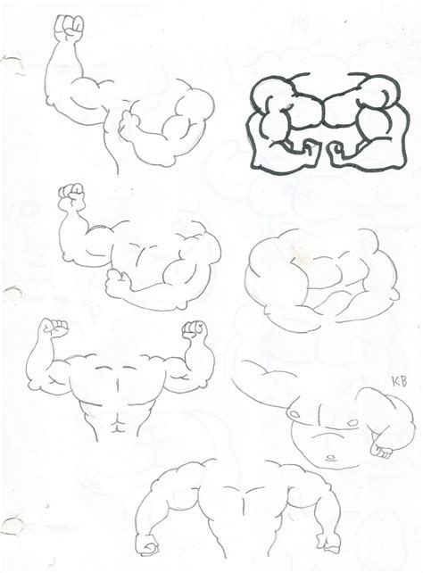 muscle sketches page   thefranksterchannel  deviantart