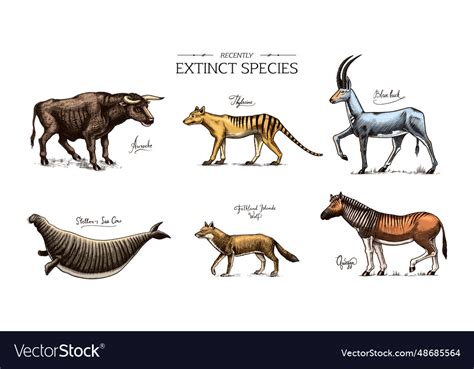 Extinct Species Wild Mammal Animals And Birds Vector Image