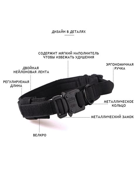 набор тактический ошейник и поводком с амортизатором