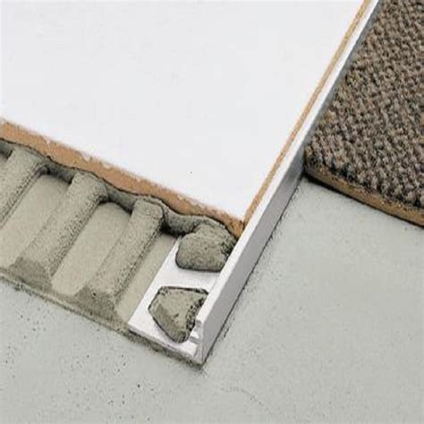 Schluter Transition Strip Carpet To Tile Review Home Co