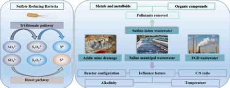 微生物硫酸盐还原工艺在含硫酸盐废水处理中的应用：综述journal Of Water Process Engineering X Mol